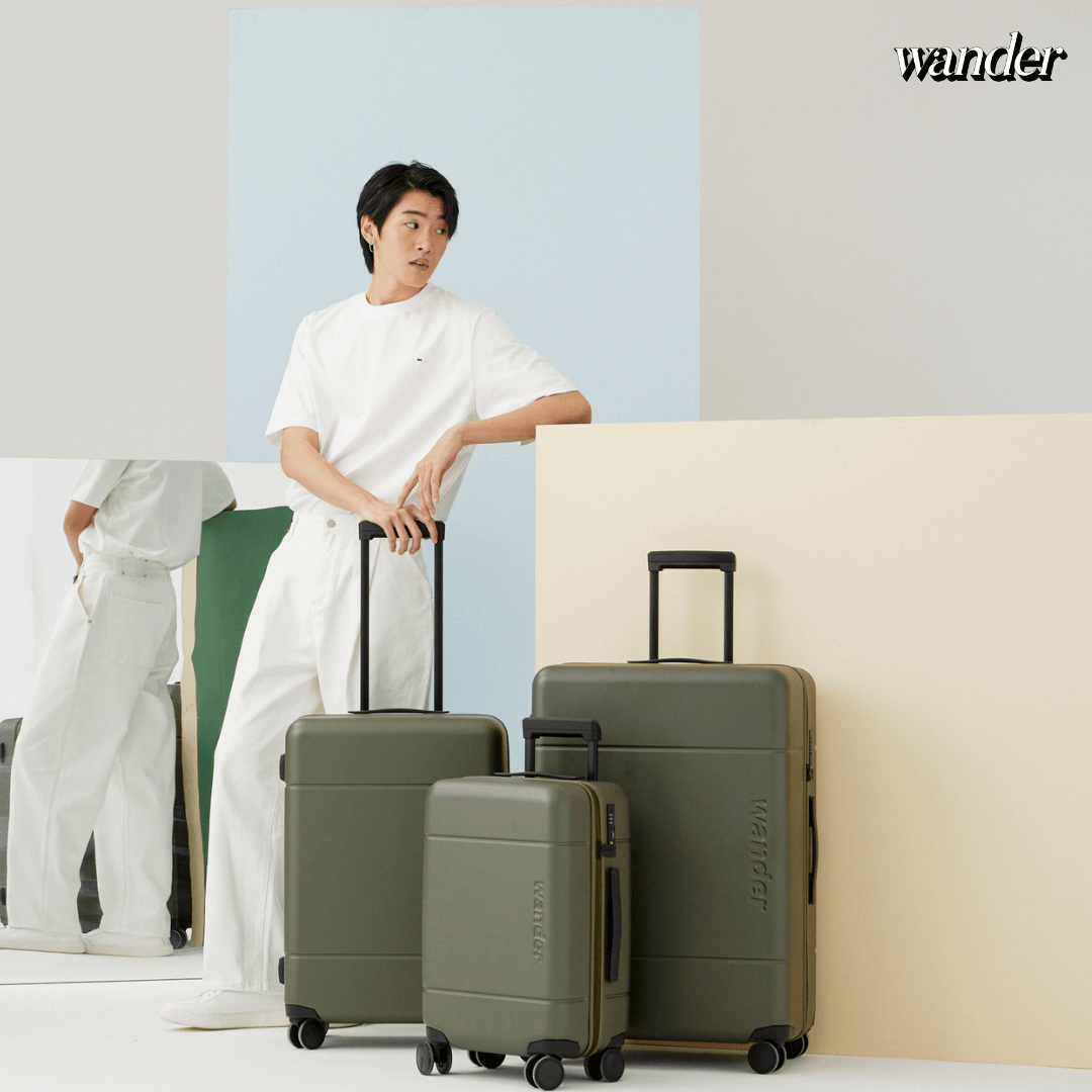 Calpak top luggage wandr