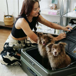 Wander Open Front Luggage - Large Size 28" - Wander Global